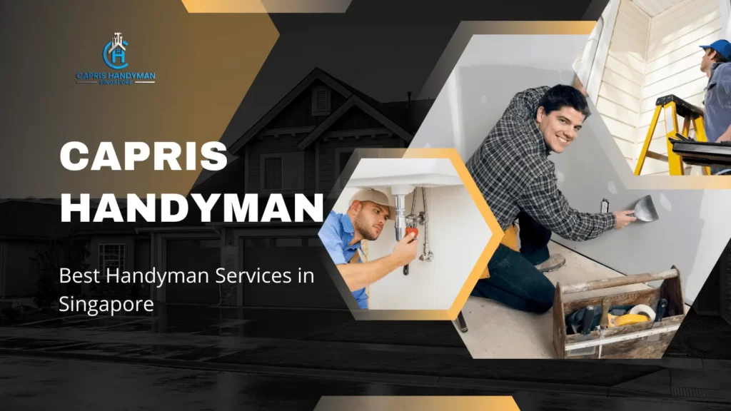 capris-handyman-web-development-portfolio